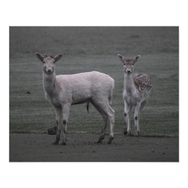 Póster Dedos (Frente)