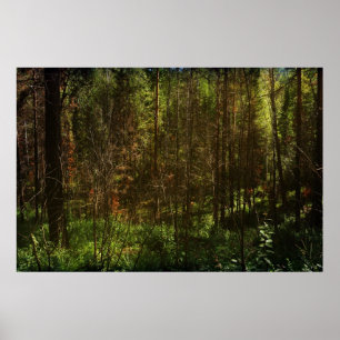 Póster Deep Siberia 2