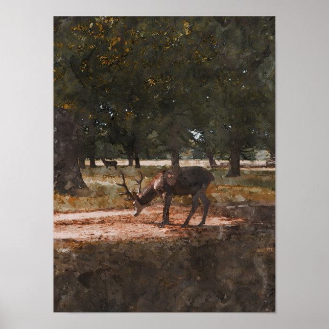 Poster Deer (Frente)