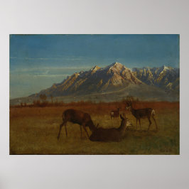 Poster Deer in Mountain Home por Albert Bierstadt