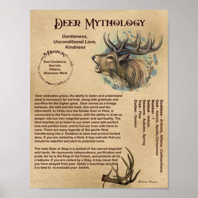 Poster DEER MYTHOLOGY (Frente)