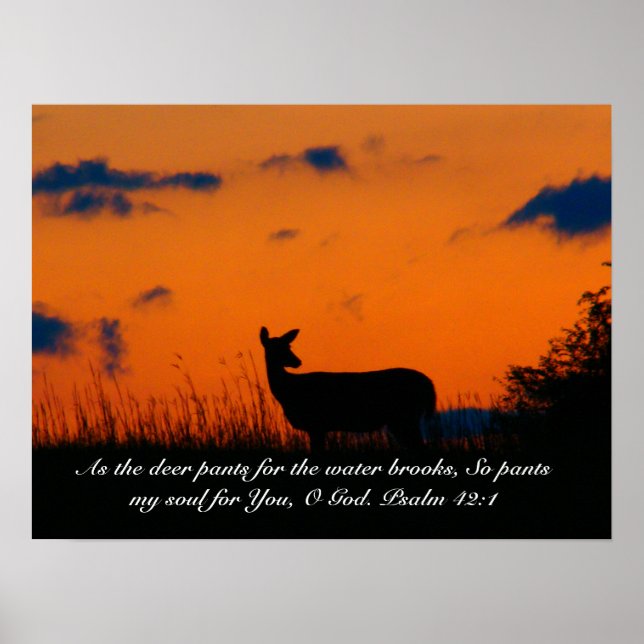 Poster Deer Sunset (Frente)