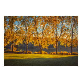 Póster DeerLake em outono