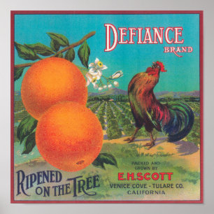 Poster Defiance Orange LabelVenice Cove, CA