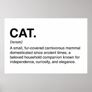 Poster Definição de Gato Substantivo Amante de Gato Engra