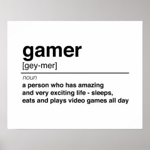 Poster Definição do Gamer
