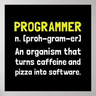 Póster Definição do programador