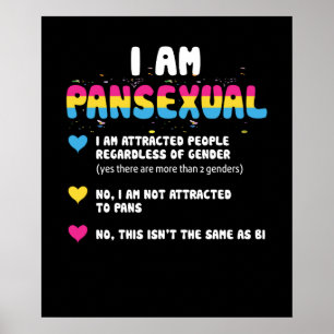 Poster Definição Pansexual - Orgulho gay engraçada LGBT