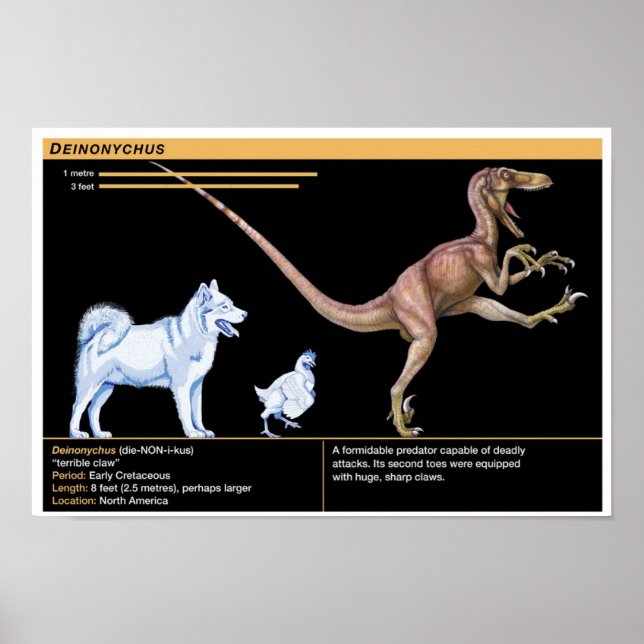 Poster Deinonychus - Biologia Dinosaur Jurássico (Frente)