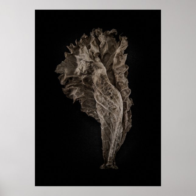 Poster Deixa a versão de cor n.o 8 (Frente)