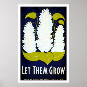 Poster Deixe a flor crescer WPA 1938