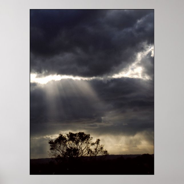 Póster Deixe a luz brilhar. Pôster (Frente)