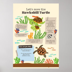 Poster deixe a tartaruga