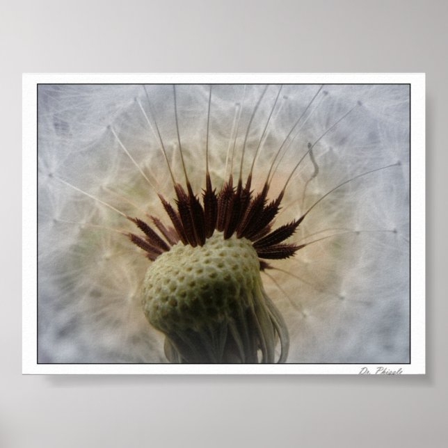 Póster Deixe-me Carregar (Frente)