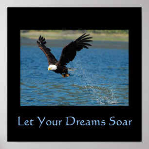 Póster Deixe seus sonhos subir