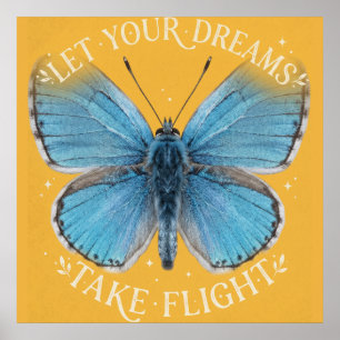 Poster Deixe Seus Sonhos Voarem Borboleta Azul