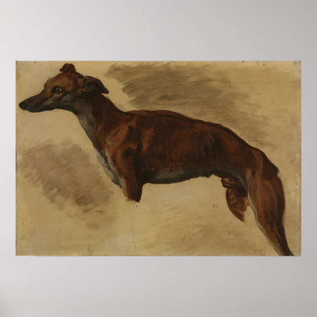 Poster Delacroix - Levrier Presumivelmente 1859 (Frente)