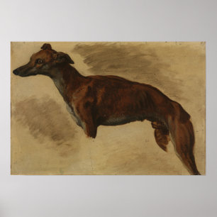 Poster Delacroix - Levrier Provavelmente 1859