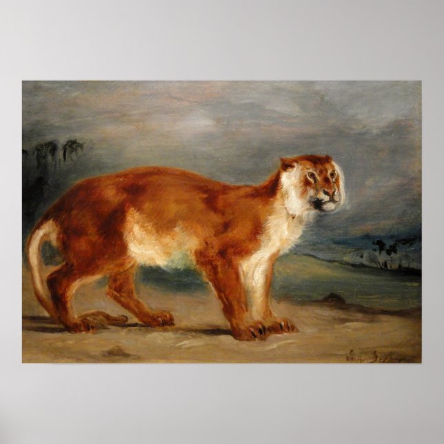 Poster Delacroix - Lioness 1832 (Frente)
