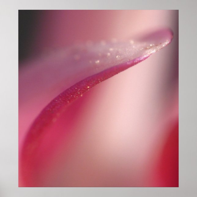 Poster Delicado (Frente)