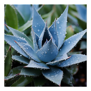 Póster Delicado Agave Botânico Digital Fotorealista