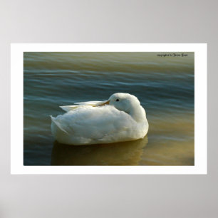 Poster Delicado no branco