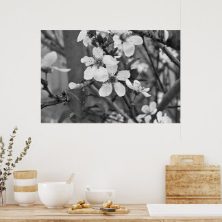 Póster Delicate Blossoms 3623