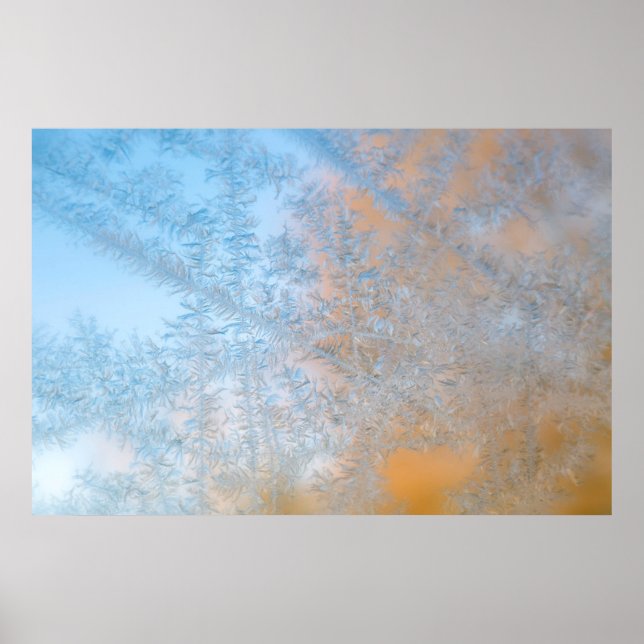 Poster Delicate Frost Standard, Wisconsin (Frente)