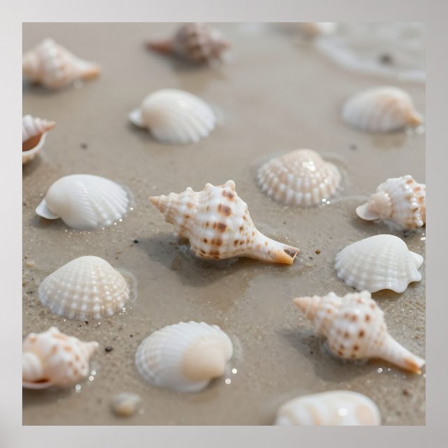 Poster Delicate Seashells Beach Serenity (Frente)