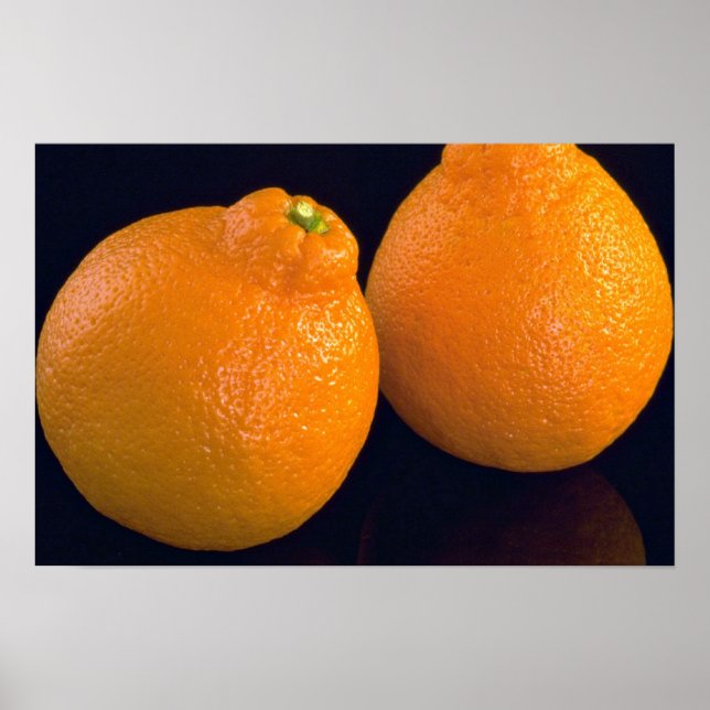 Póster Delicious Tangerines (Frente)