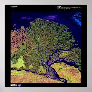 Póster Delta do Rio Lena