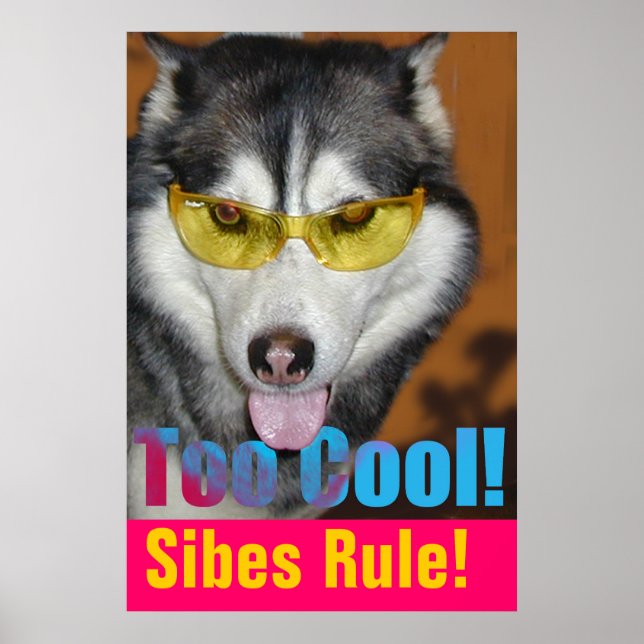 Poster demasiado Legal (Frente)