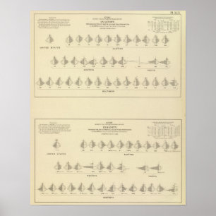 Póster Demência, litografia estatística dos E.U.