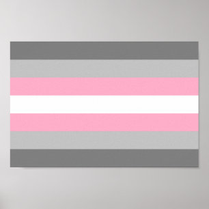 Poster Demigirl Pride