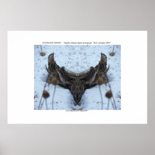 PÓSTER DEMÓNIO DA FLORESTA