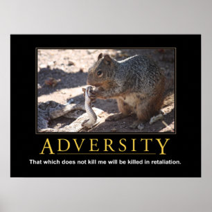 Poster Demotivacional: Adversidade