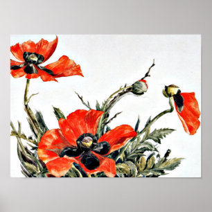 Poster Demuth - Red Poppies, quadro popular
