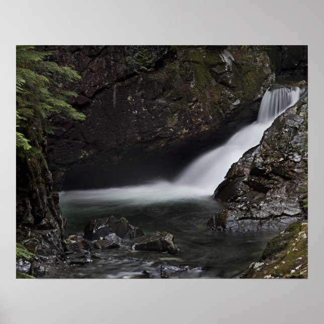 Poster Denny Creek (Frente)