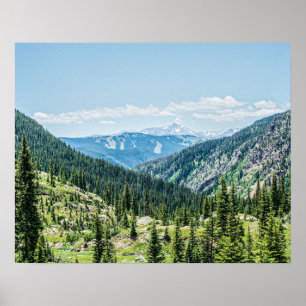 Poster Dense Forest Background // Ski Resort Runs