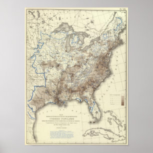 Póster Densidade populacional 1870 da raça