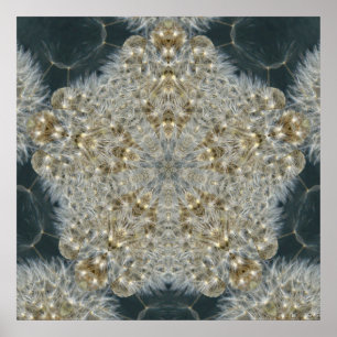 Póster Dente-de-leão estrela novembro de 2012