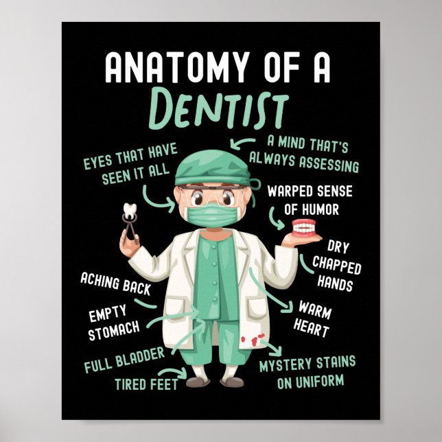 Poster Dentista Anatomia Dental De Um Dentista Uma Mente  (Frente)