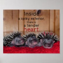 Dentro a espiada exterior há um coração tenro