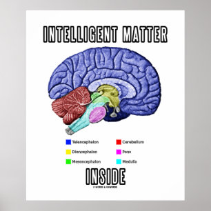Póster Dentro de matéria inteligente (Humor cerebral ana