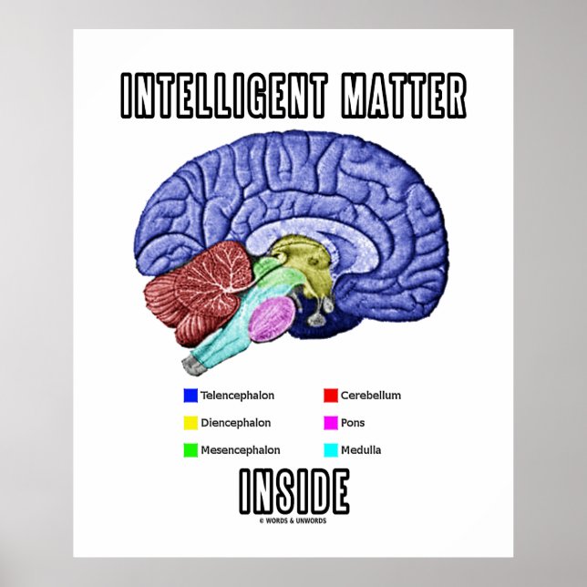 Póster Dentro de matéria inteligente (humor cerebral anat (Frente)