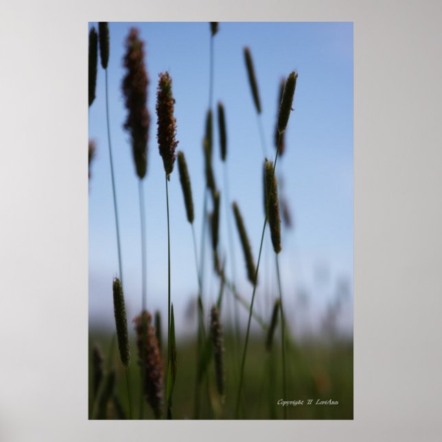 Poster Dentro do Hay (Frente)