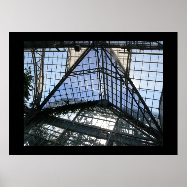 Póster dentro (teto de estufa) (Frente)