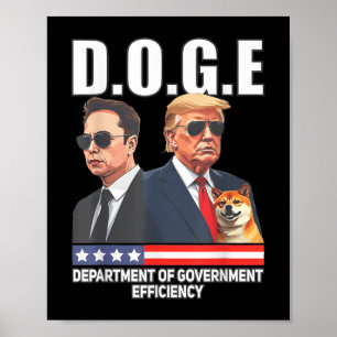 Poster Departamento D.o.g.e. De Eficiência Governamental