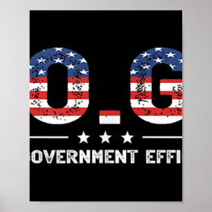 Poster Departamento D.o.g.e. De Eficiência Governamental
