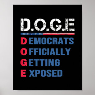 Poster Departamento De Eficiência Governamental D.o.g.e D